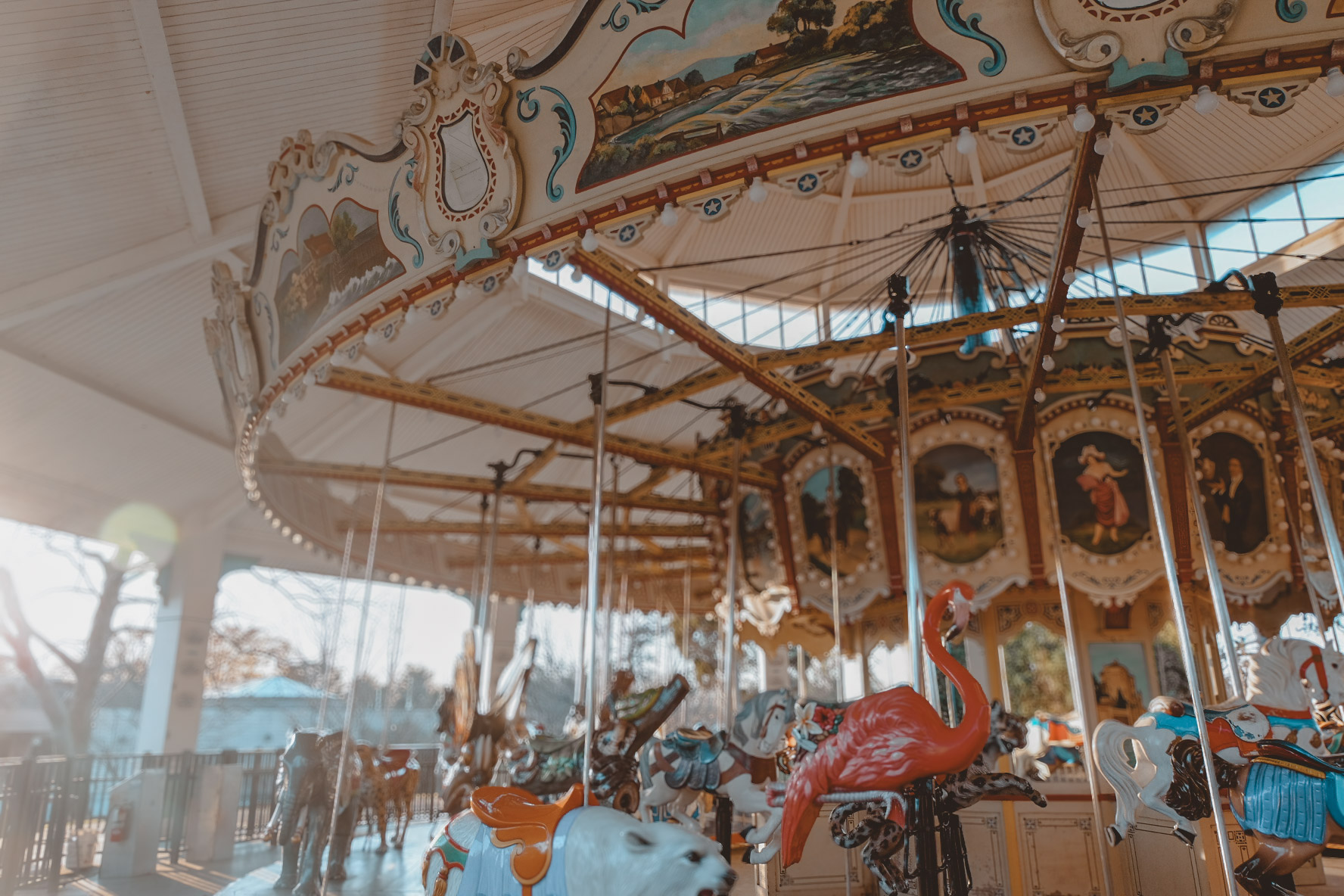 carousel