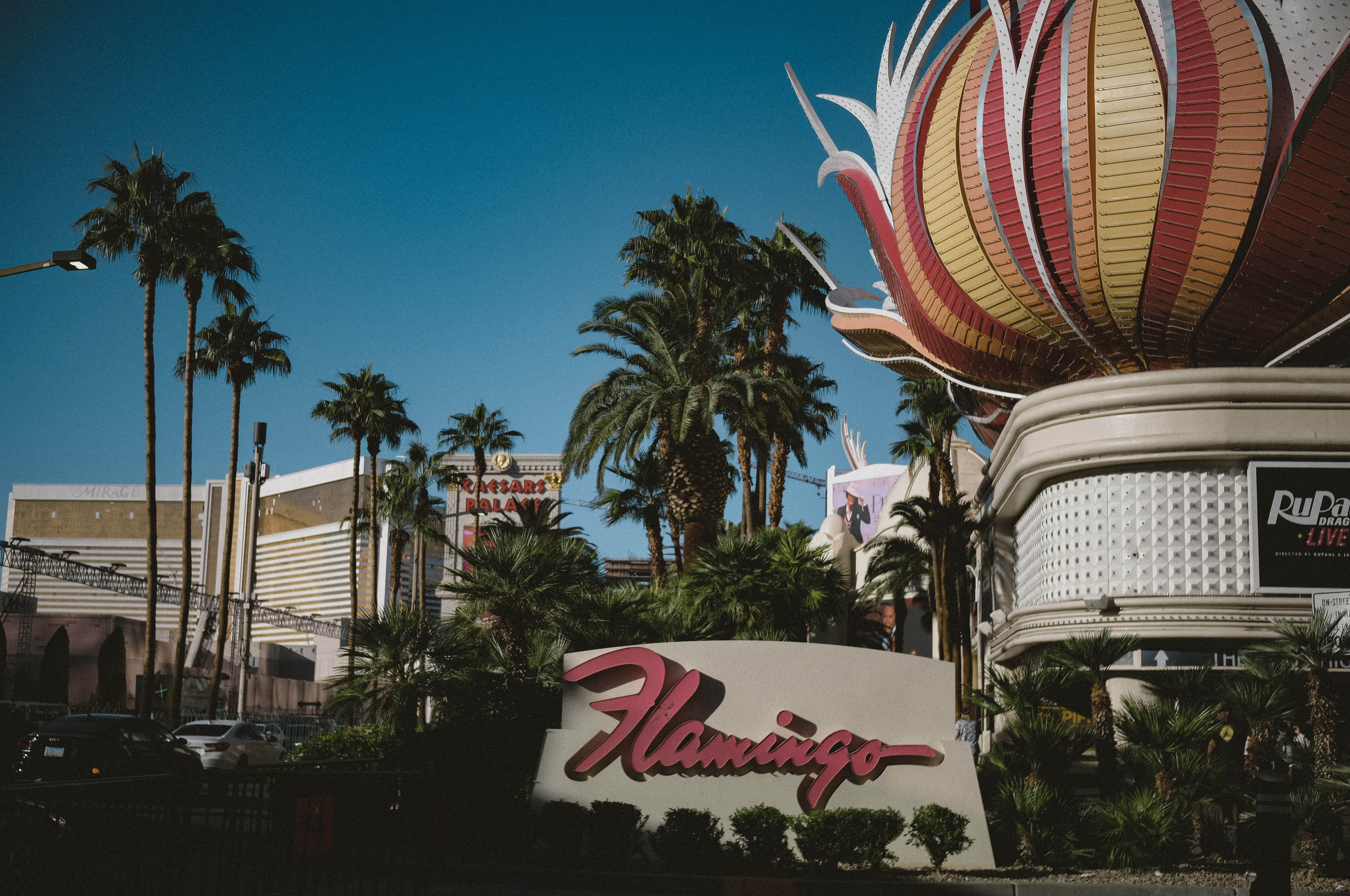 flamingo casino